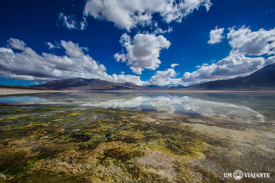 Laguna Blanca - Uma paisagem surreal na Bolívia