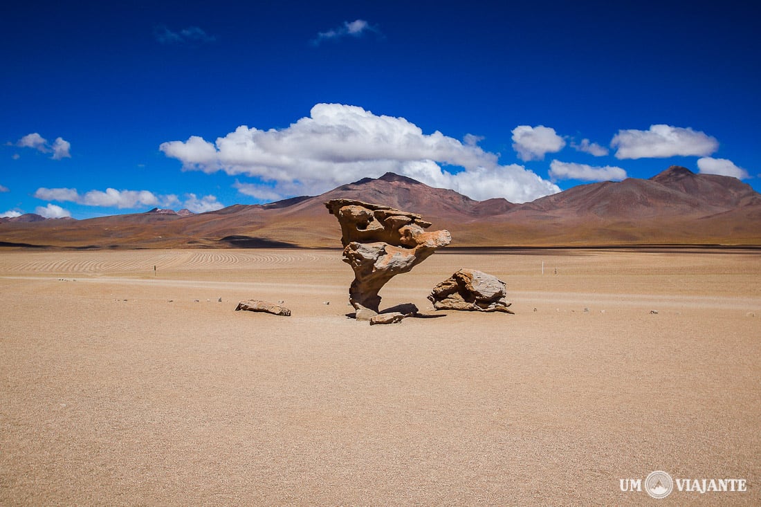 Árbol de Piedra, Bolívia