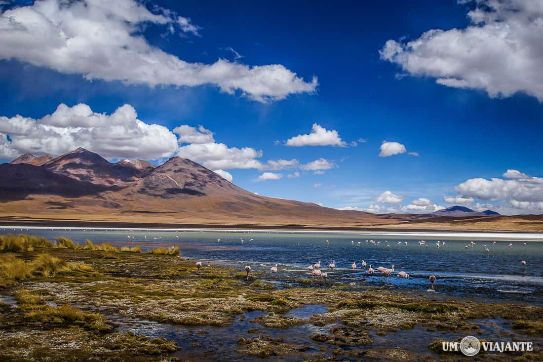 Mochilão Bolívia - Laguna Cañapas
