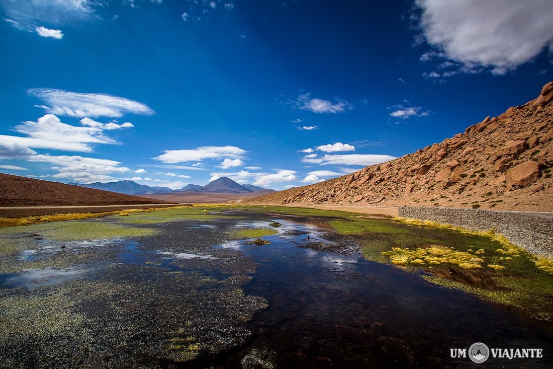 Rio La Putana, Atacama - Chile