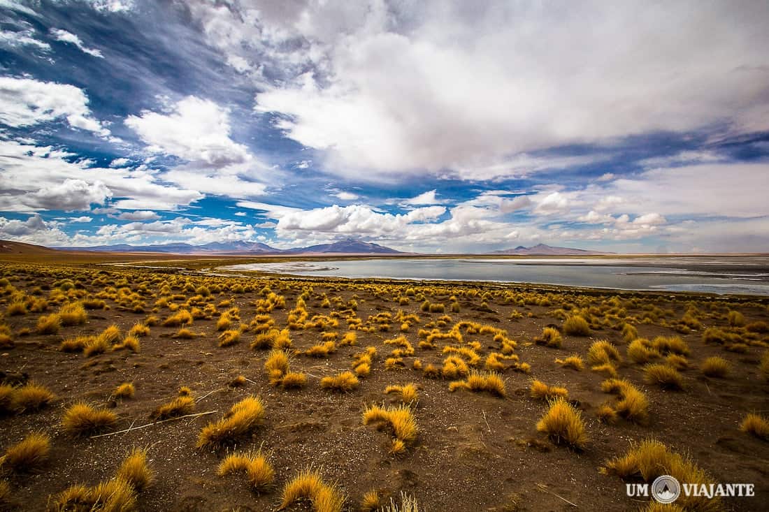 Salar de Tara, Atacama