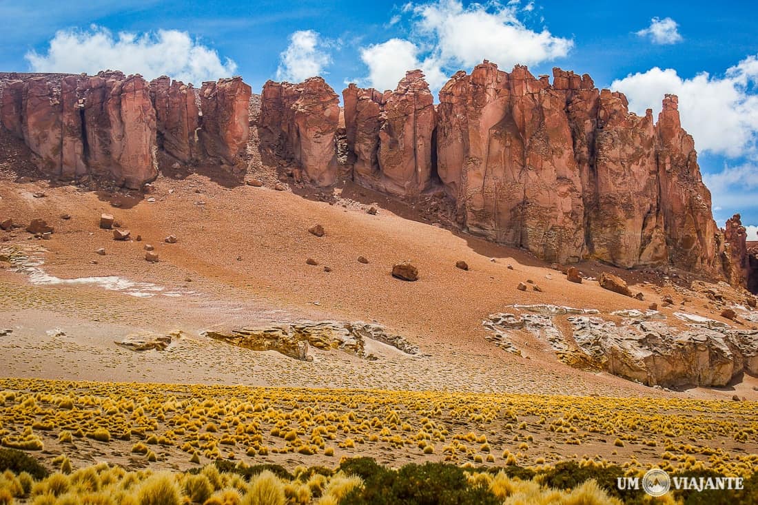 Salar de Tara, Atacama - Chile