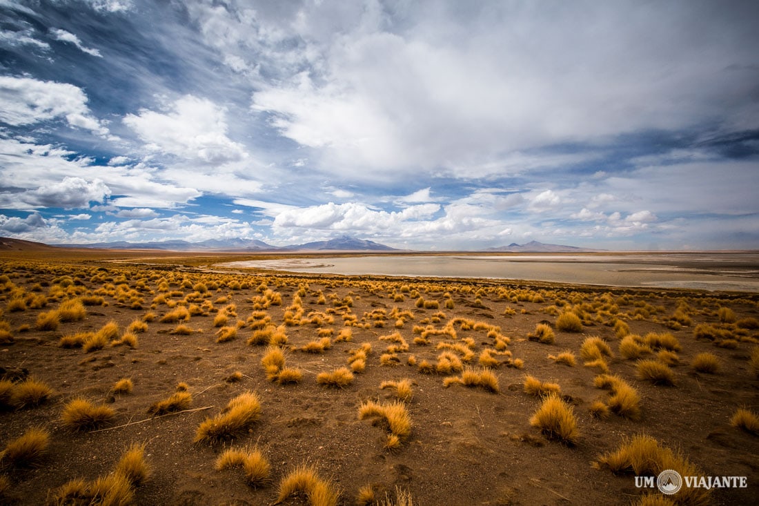 Deserto do Atacama - Quando ir?