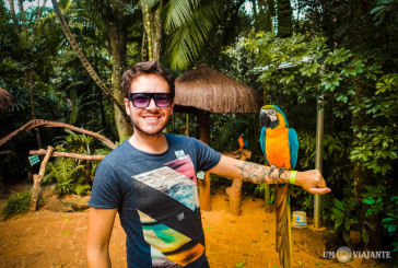 O incrível Parque das Aves, em Foz do Iguaçu