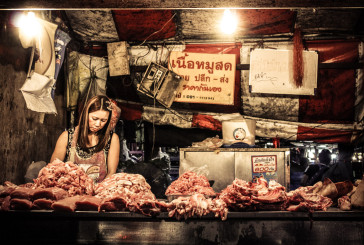 Comida estranha e uma feira muito louca em Chiang Mai