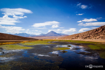Atacama 2015: novidades e informações sobre o encontro