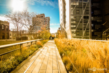 Um passeio pelo High Line de Nova York