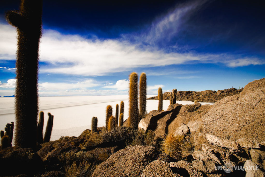 Ilha de Cactos do Salar de Uyuni, Bolívia