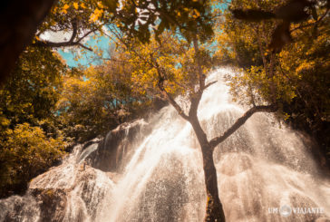 Passeio Boca da Onça: natureza, trilhas e cachoeiras em Bonito
