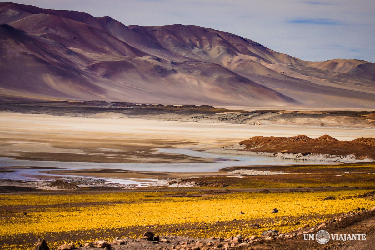 Deserto do Atacama, Um Viajante