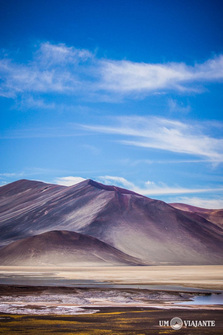 FlaviaBia Expediciones, Atacama