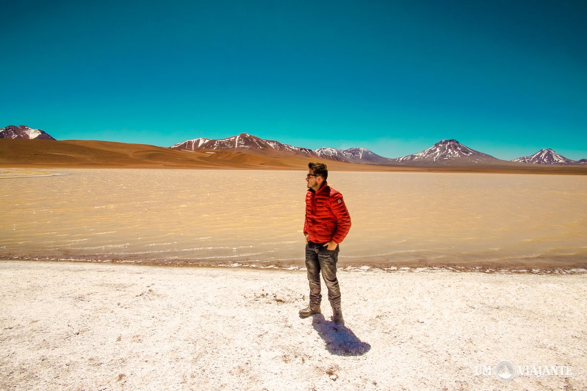Deserto do Atacama, Um Viajante