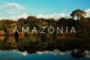 Descubra a Amazônia com Um Viajante