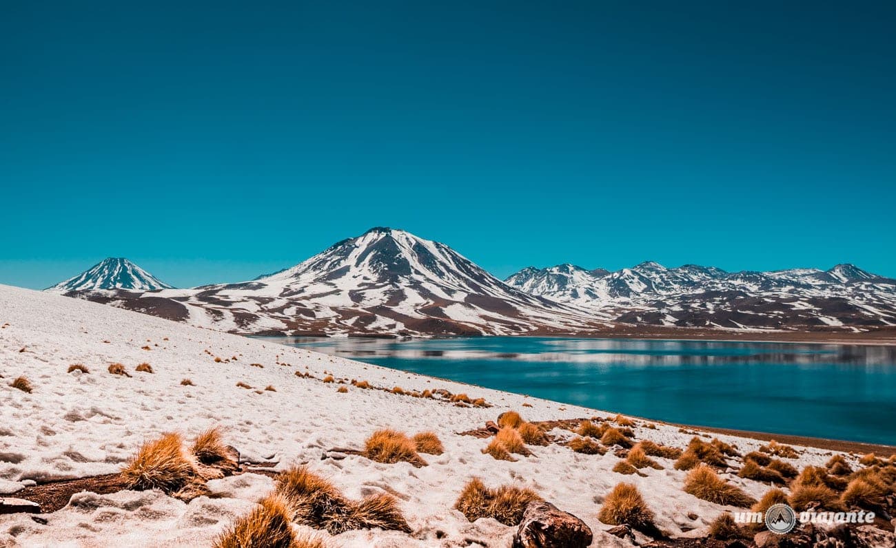 Lagunas Altiplânicas - Deserto do Atacama