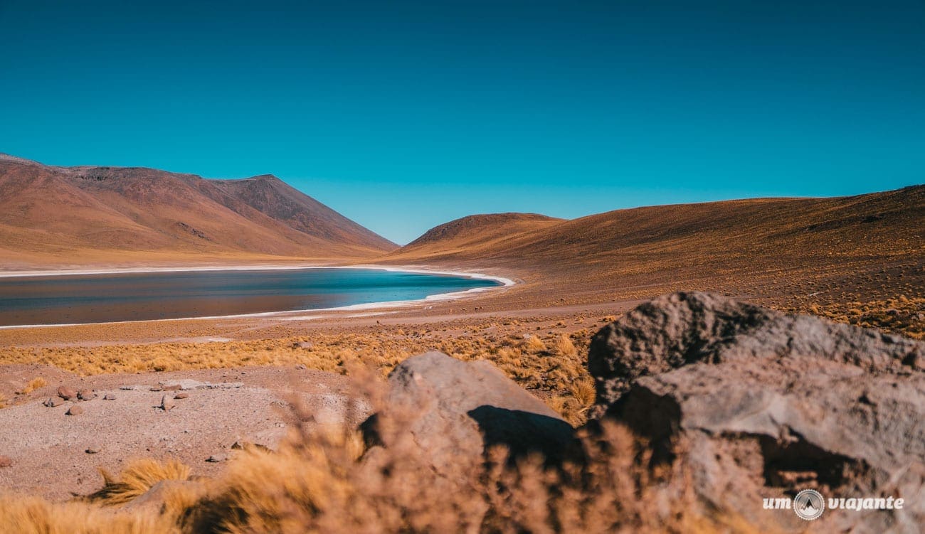 Lagunas Altilplânicas - Laguna Miñiques - Atacama