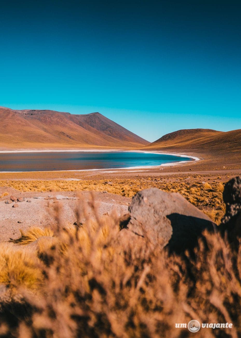 Lagunas Altilplânicas - Laguna Miñiques - Atacama