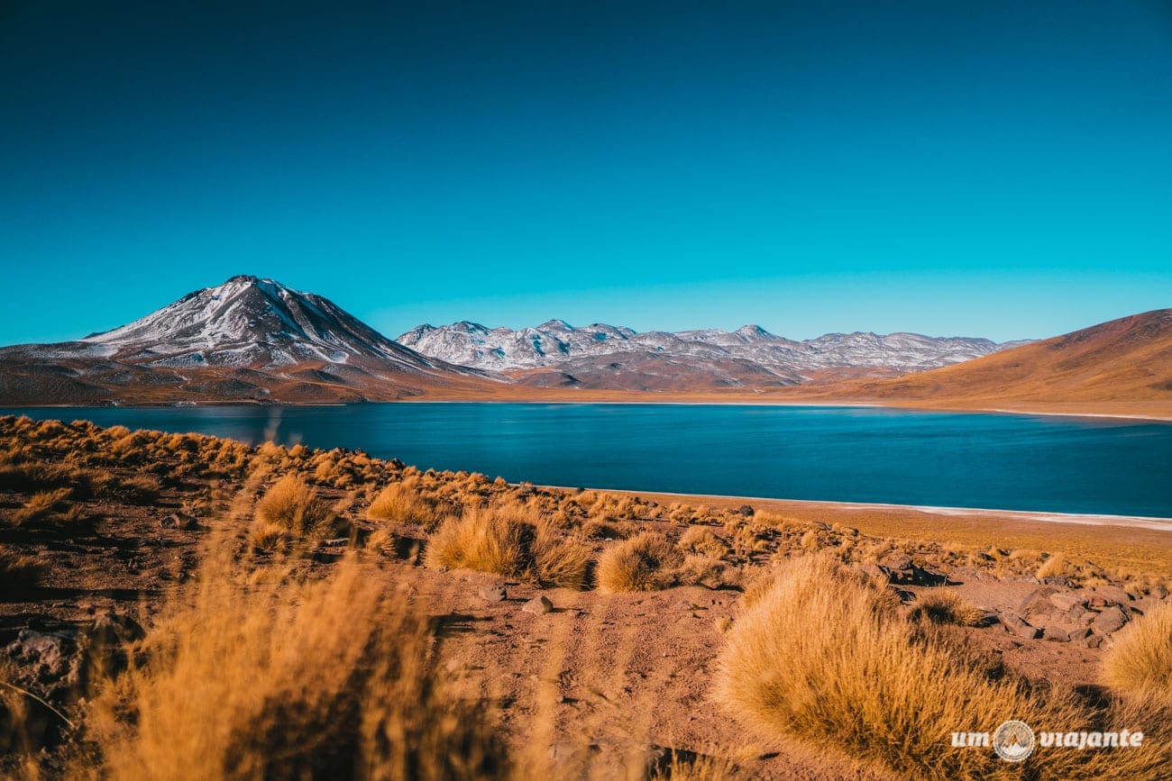 Laguna Miscanti - Altiplânicas do Atacama- Chile