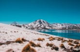 Lagunas Altiplânicas e Piedras Rojas: o passeio mais lindo do Atacama