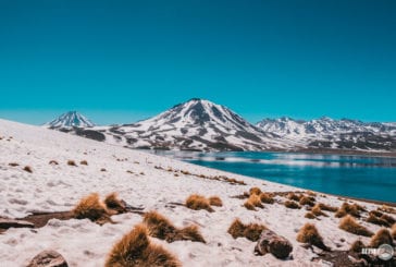 Lagunas Altiplânicas e Piedras Rojas: o passeio mais lindo do Atacama