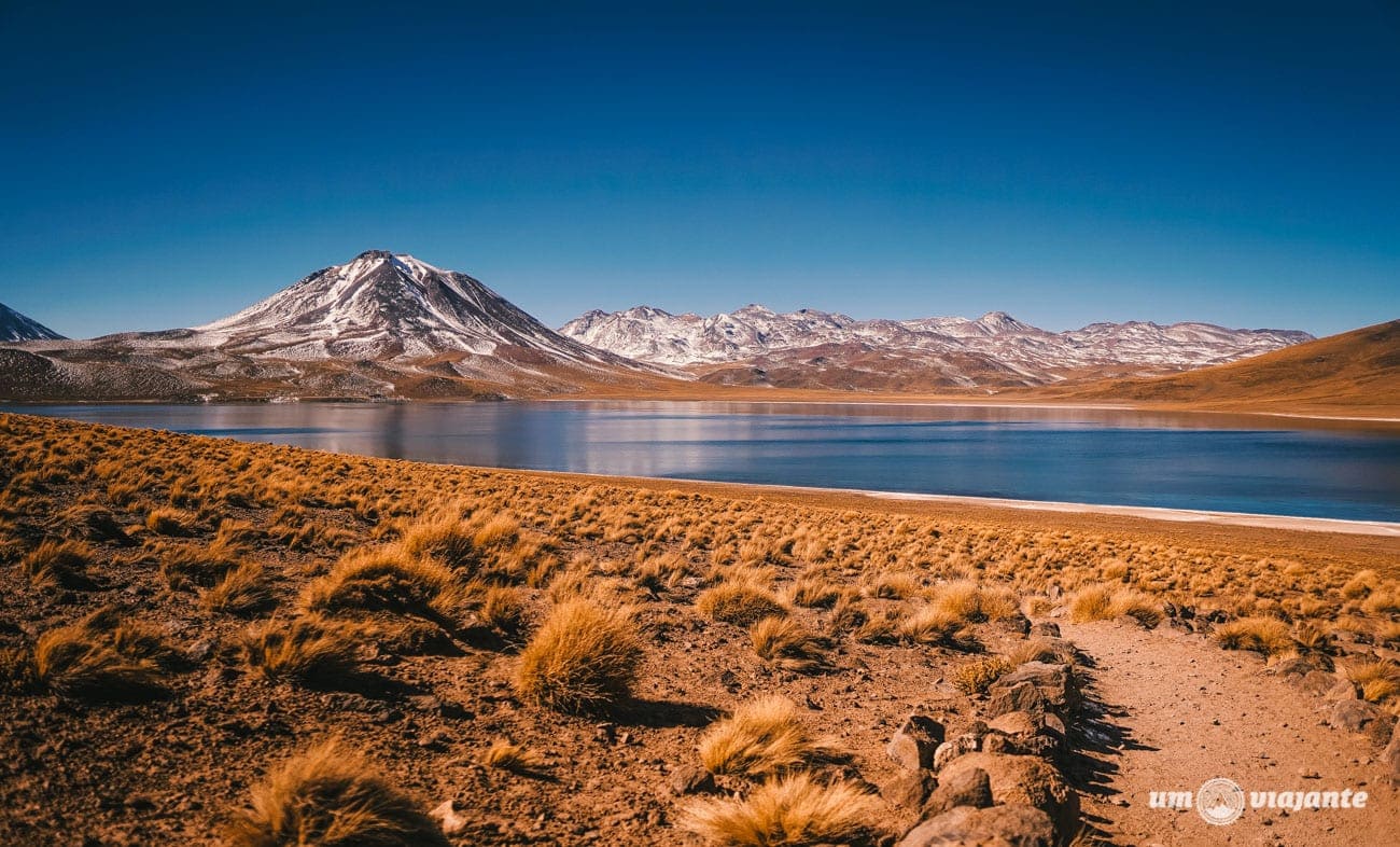 Lagunas Altiplânicas no Verão - Atacama