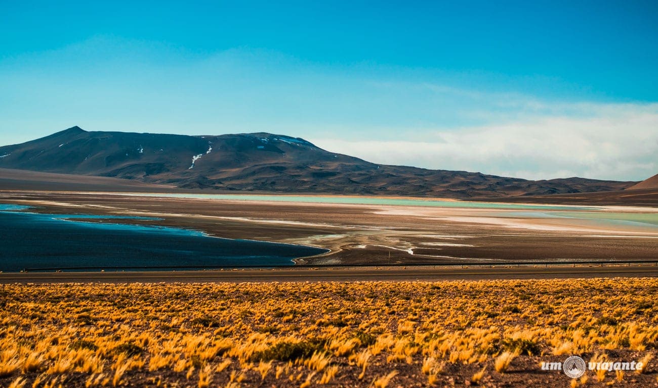 Lagunas Andinas - Salar de Tara - Deserto do Atacama, Chile