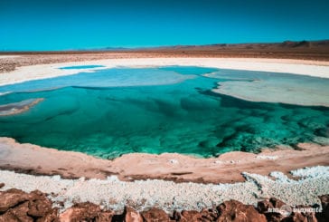 Lagunas Escondidas de Baltinache: um dos passeios mais lindos do Atacama