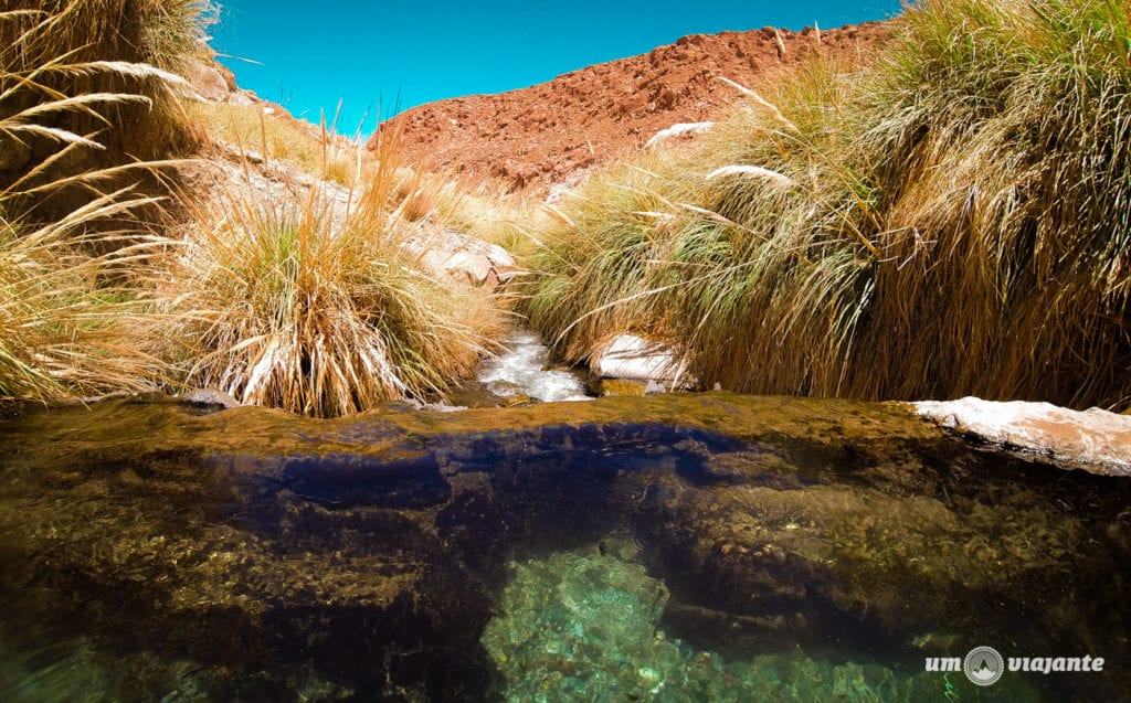 Termas de Puritama - Atacama