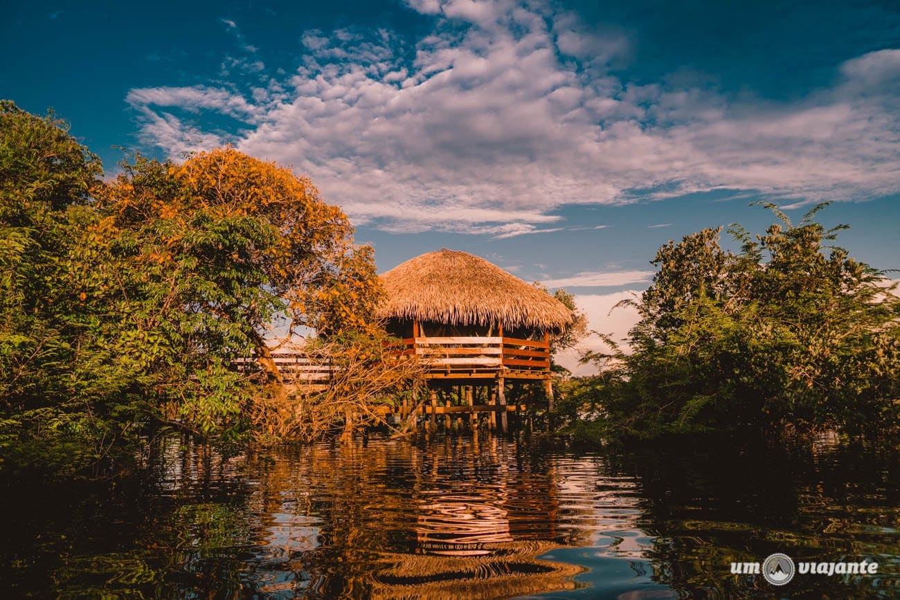 Chegando no Juma Amazon Lodge - Hotel de selva na Amazônia