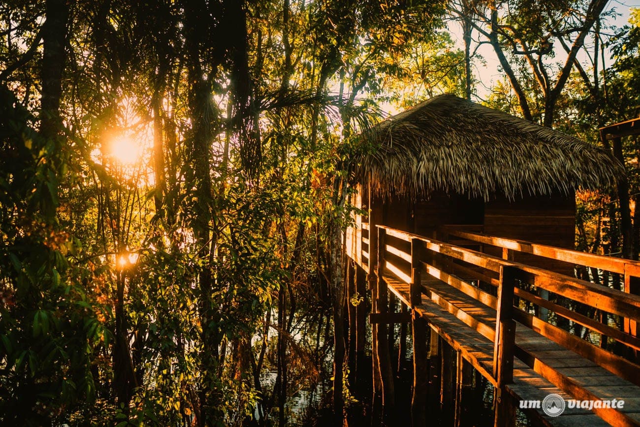 Hotel Juma Amazon Lodge - Hotel de selva na Amazônia