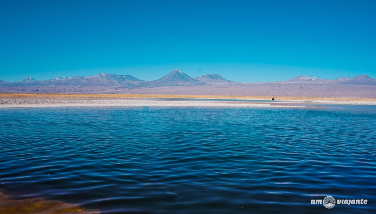 Laguna Cejar - Atacama