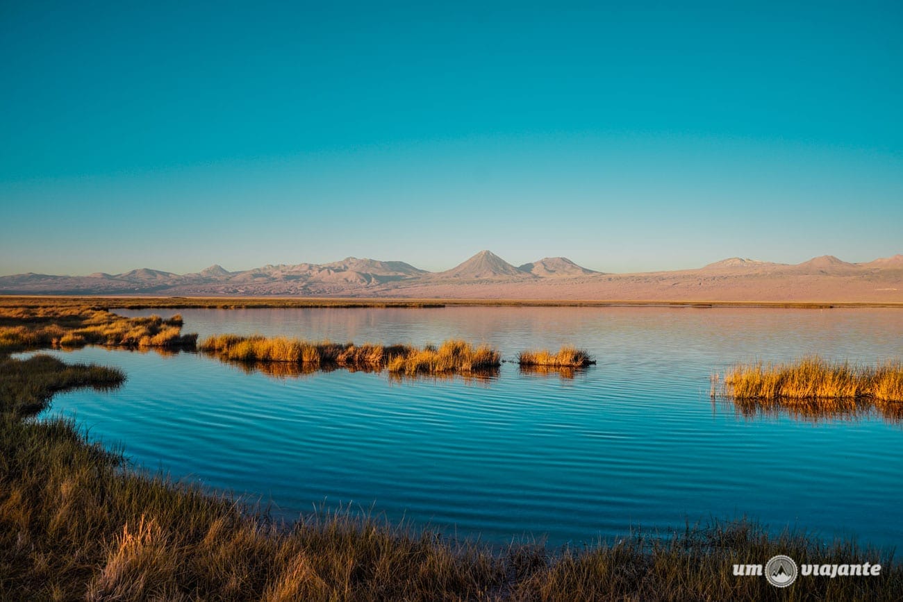 Laguna Tebinquiche - Deserto do Atacama