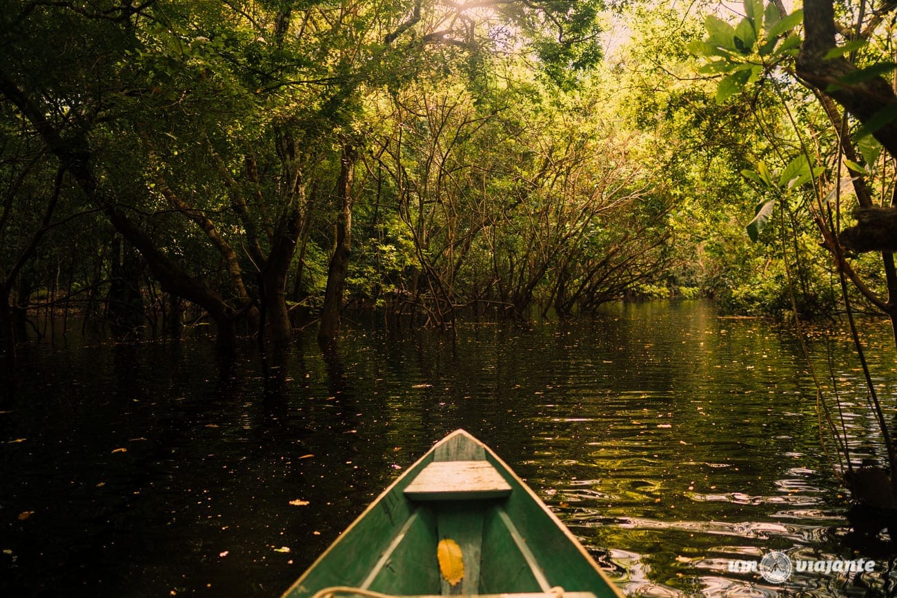 A linda época da cheia no rio na Amazônia brasileira