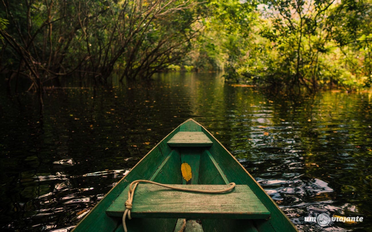 Passeio de canoa na Amazônia