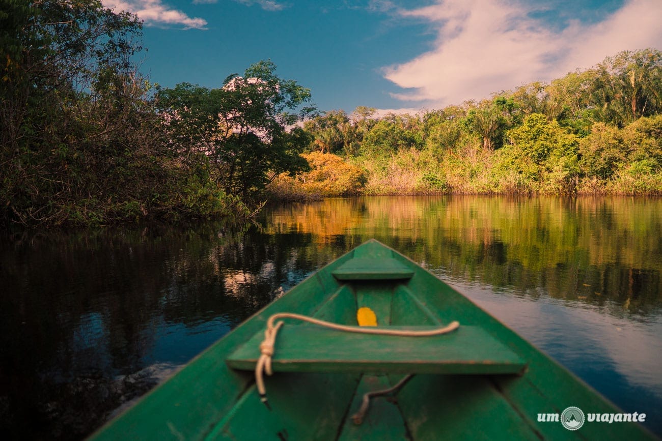 Roteiro Amazônia: minha primeira viagem para a Floresta Amazônica