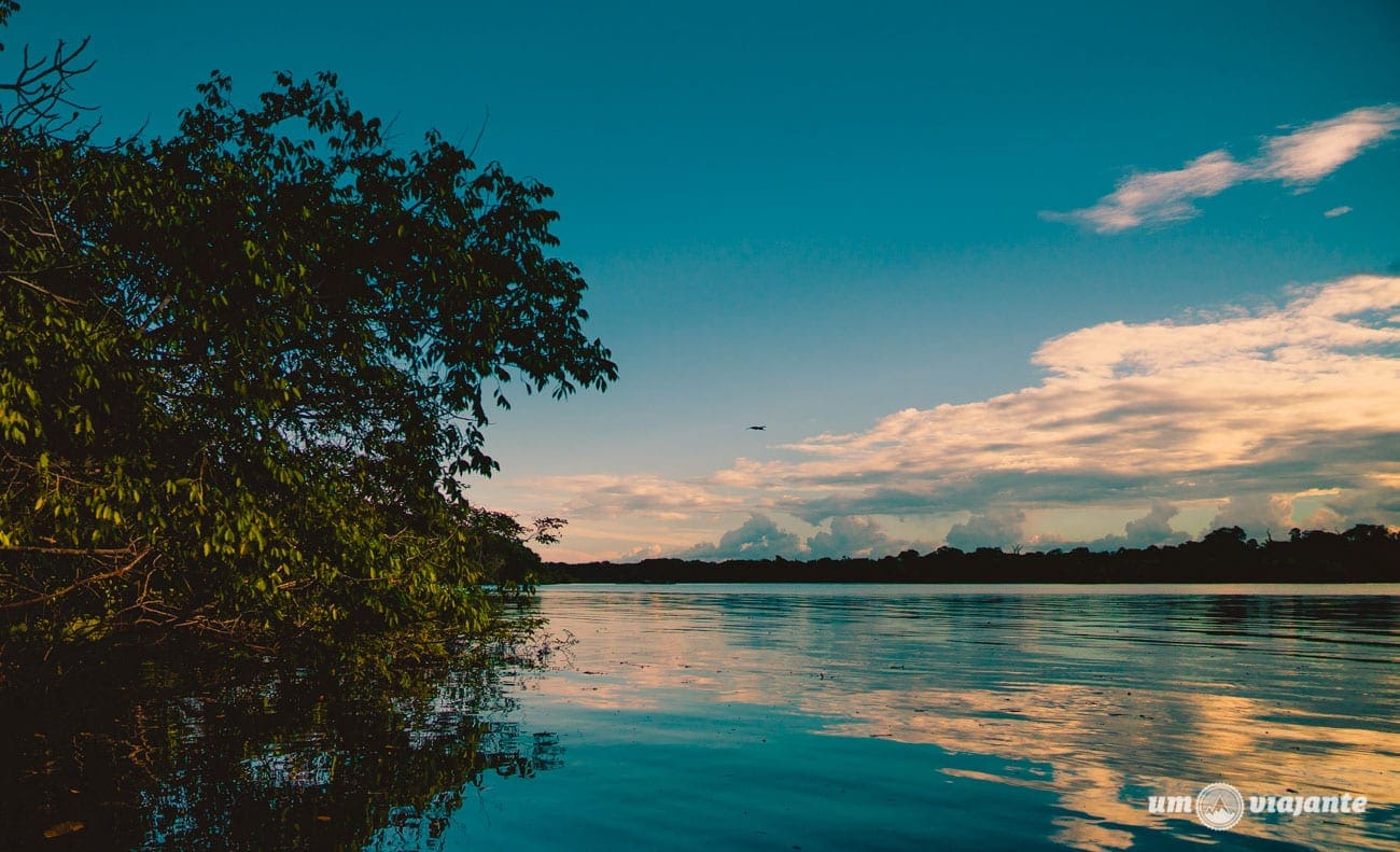 Roteiro Amazônia: minha primeira viagem para a Floresta Amazônica