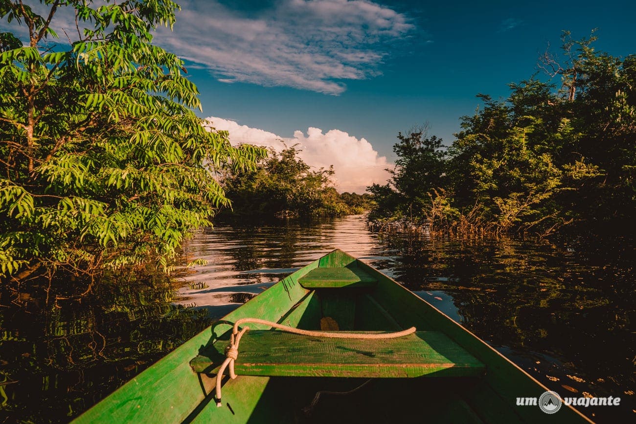 Passeio de canoa na Amazônia