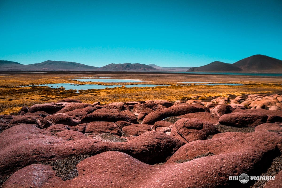 Salar Escondido Atacama