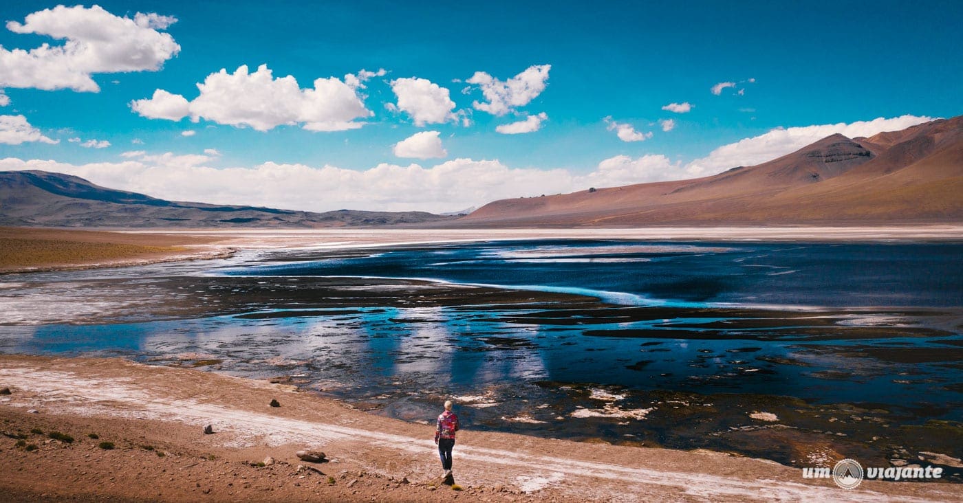 Lagunas Andinas - Passeio imperdível no Atacama
