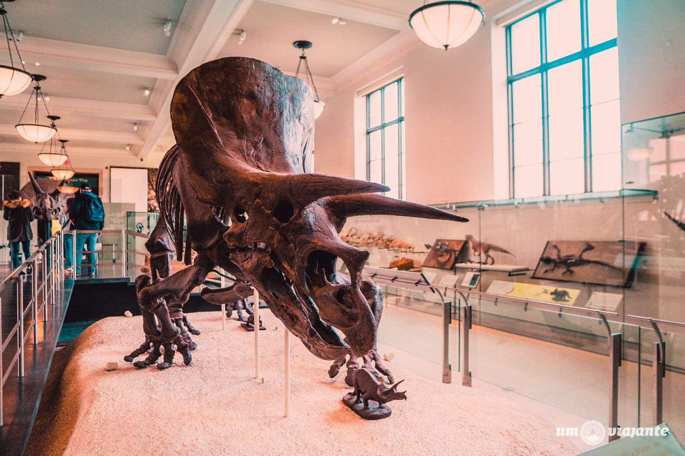 Dinossauros do Museu de História Natural - Nova York