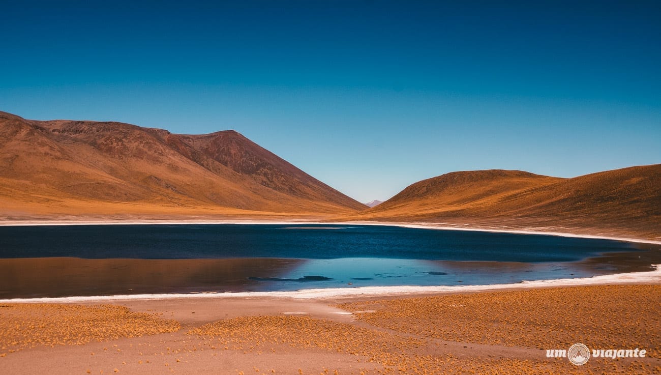 Lagunas Altiplânicas em Novembro - Deserto do Atacama