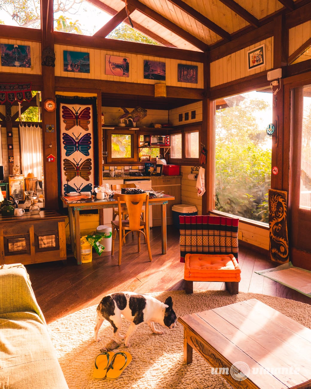Airbnb em Florianópolis com vista para a Lagoa da Conceição com pet