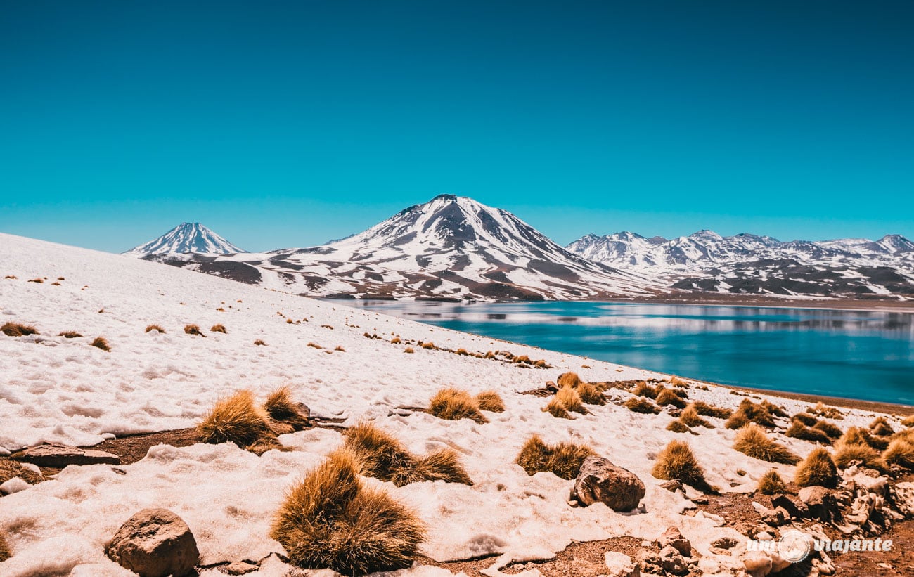 Lagunas Miscanti no inverno, Deserto do Atacama | Foto: Robson Franzói @blogumviajante