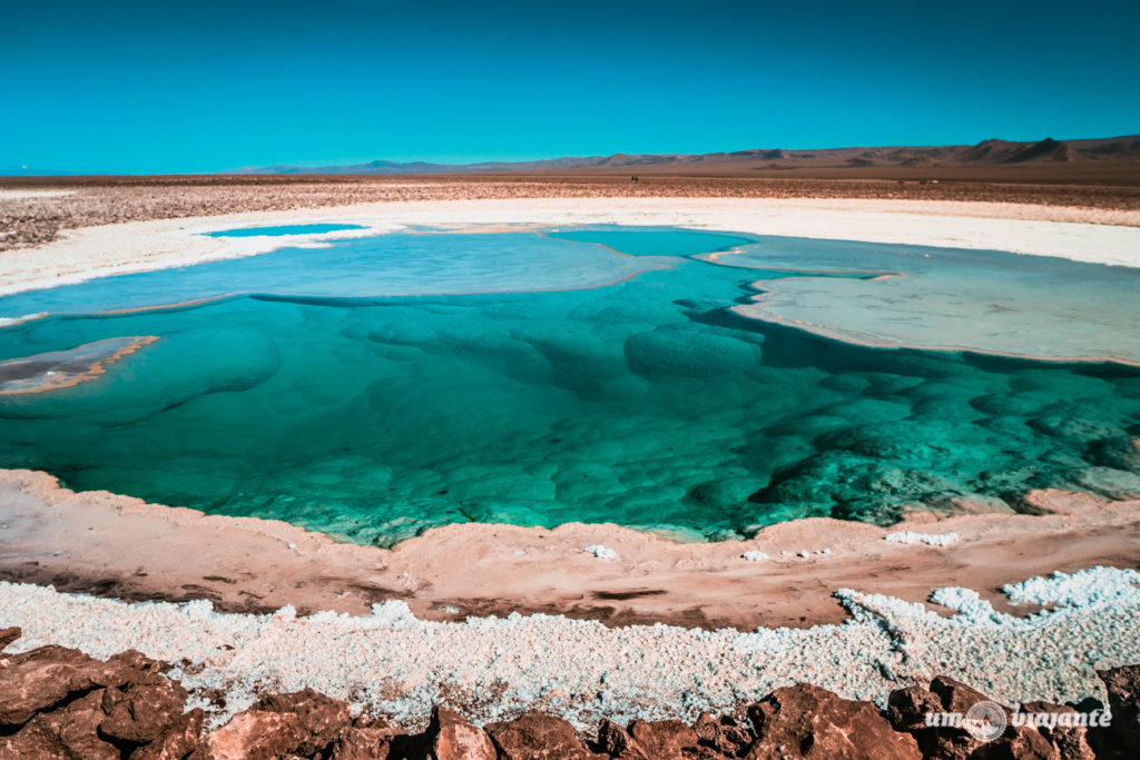 Lagunas Escondidas de Baltinache, no Deserto do Atacama | Foto: Robson Franzói @blogumviajante