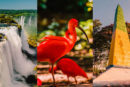 O que fazer em Foz do Iguaçu: TOP 10 Melhores Passeios