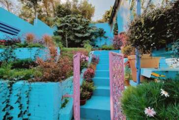Café para viajantes tem jardim secreto inspirado na cidade azul