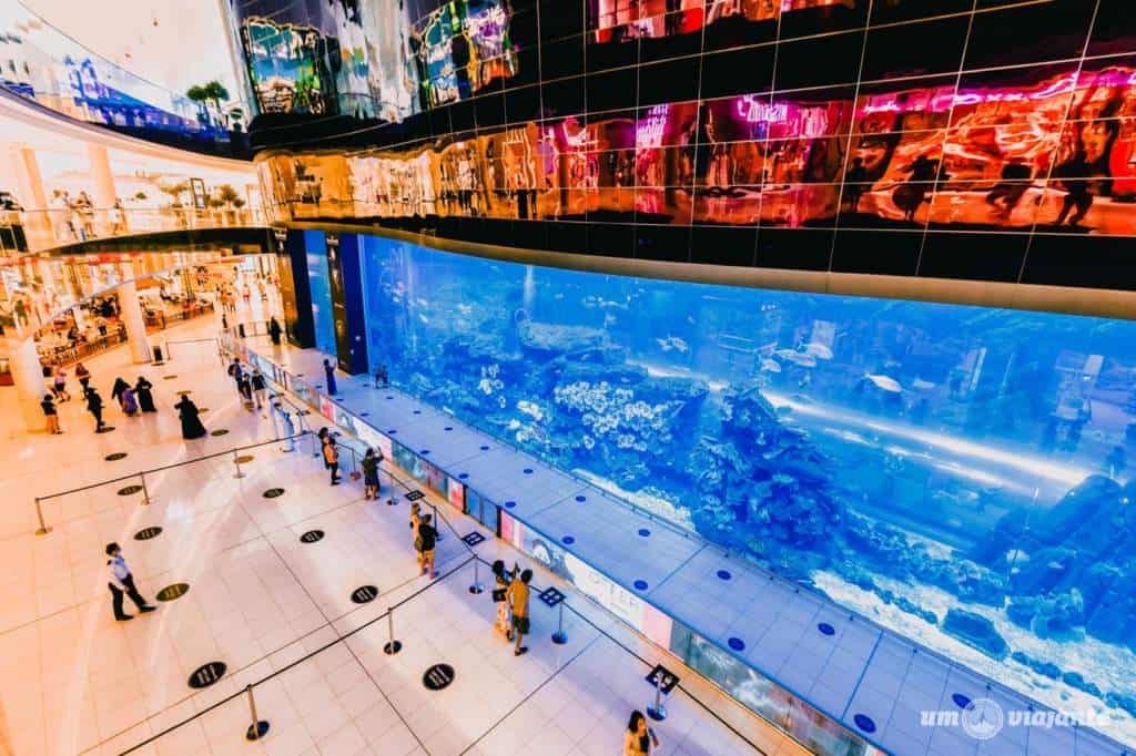 The Dubai Aquarium – Aquário de Dubai 
