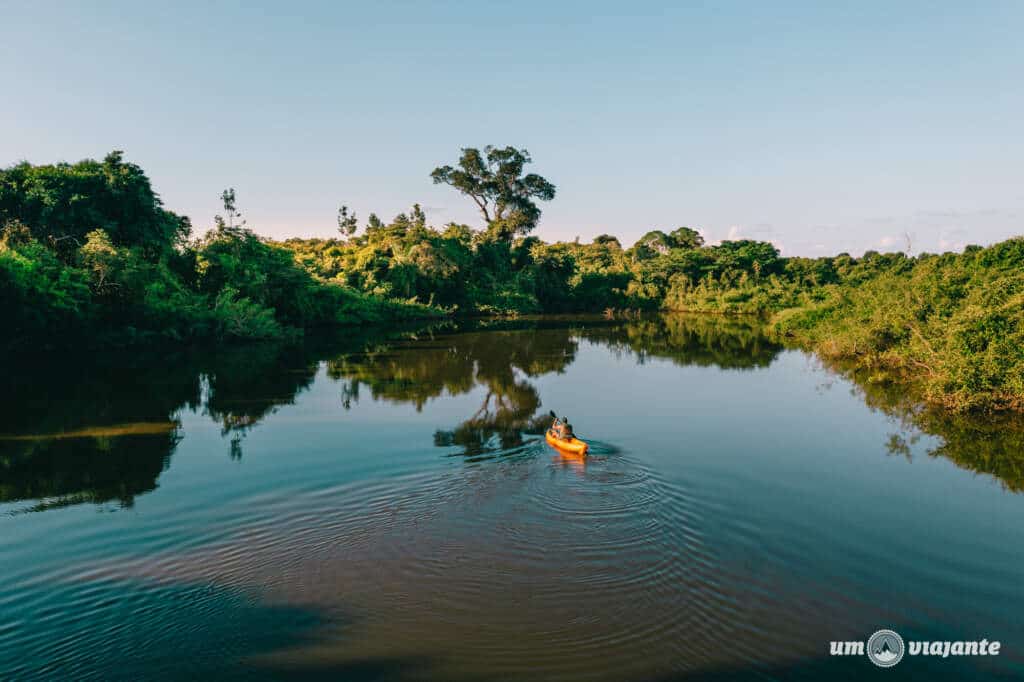 Aproveite a viagem para conhecer o Pantanal