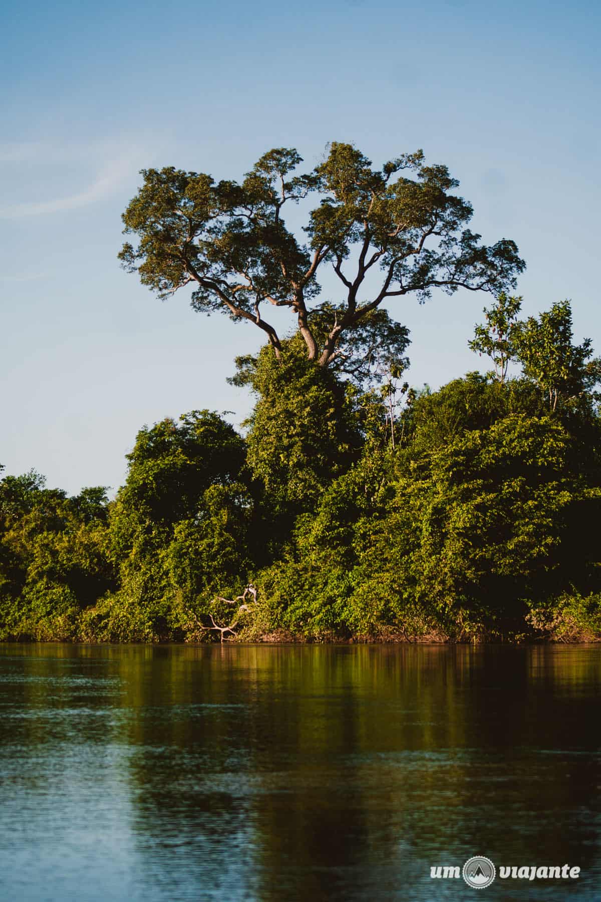 passeio de barco no Rio Aquidauana - Pantanal