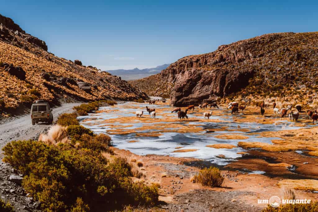 Estrada para Uyuni, saindo do Atacama