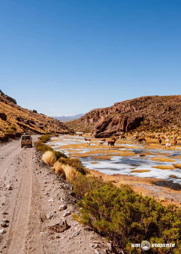 Viagem para o Salar de Uyuni Bolívia